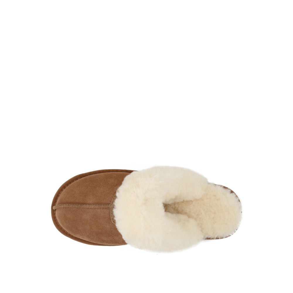 DREAMMERINO Platform  Strap Slipper Backstrap Scuff